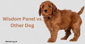 Wisdom Panel vs. Other Dog DNA Tests