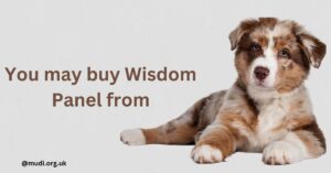 You may buy Wisdom Panel from: