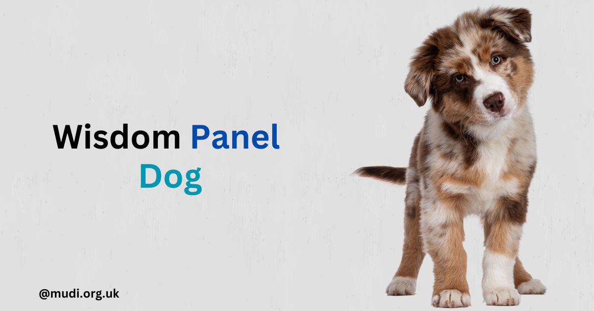 Wisdom Panel is one of the most respected and thorough canine DNA analysis